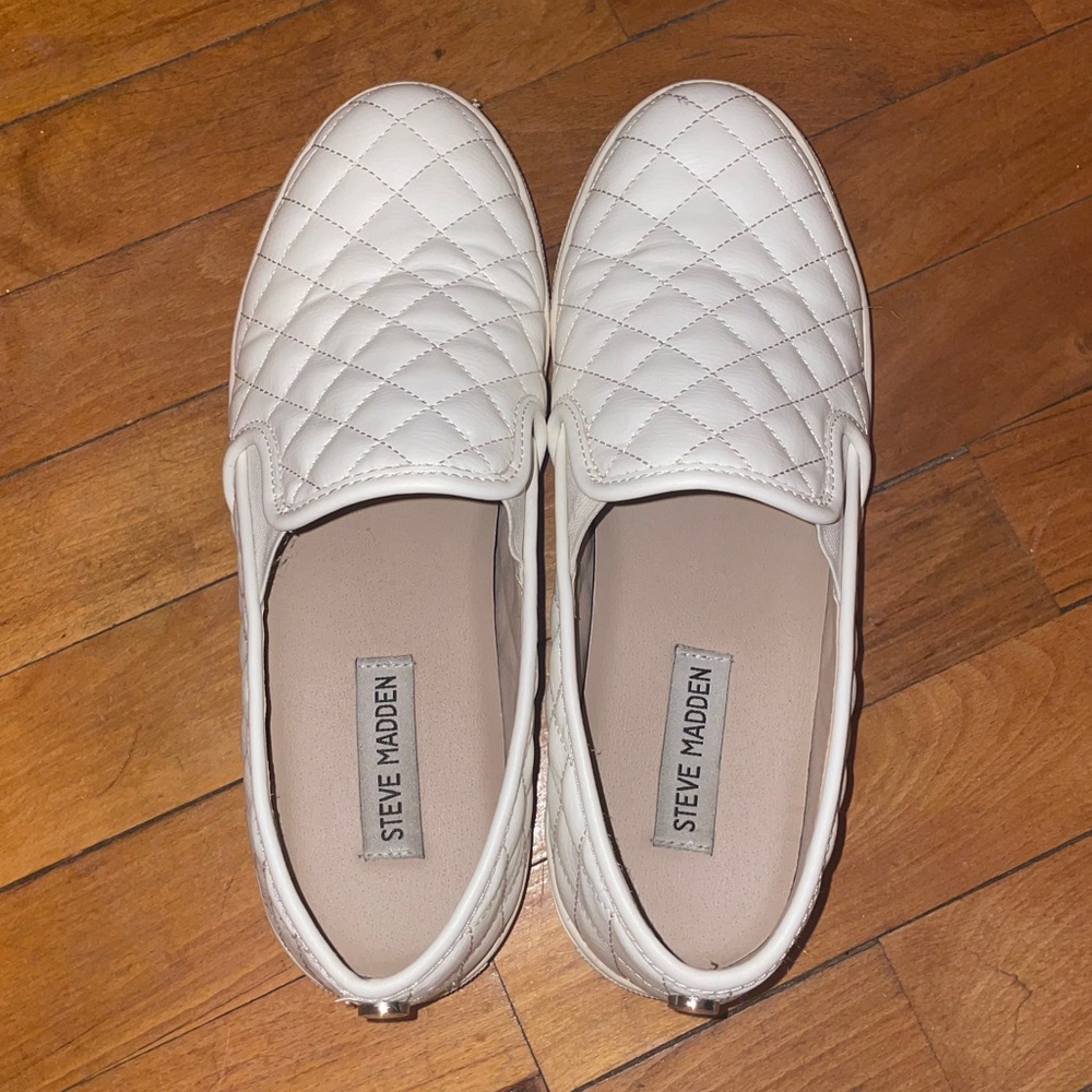 Steve Madden Ecentrcq Sneaker